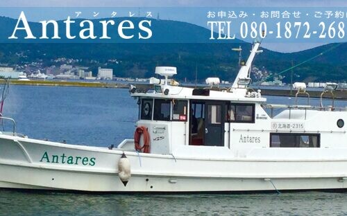 北海道 小樽港・古平港の遊漁船「ANTARES（アンタレス）」