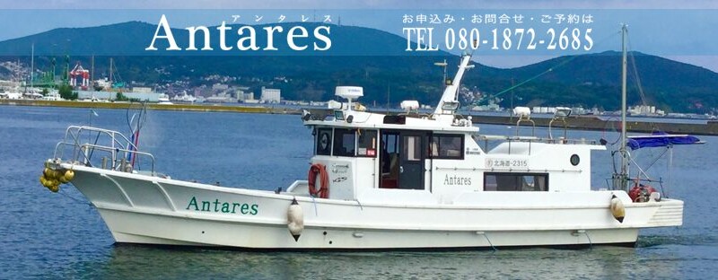 北海道 小樽港・古平港の遊漁船「ANTARES（アンタレス）」