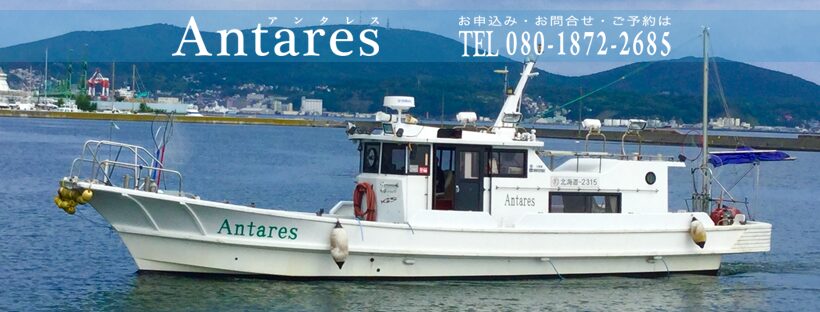 北海道 小樽港・古平港の遊漁船「ANTARES（アンタレス）」