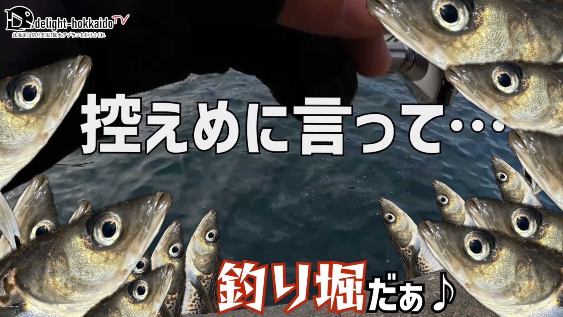 高活性なスケトウダラで埋め尽くされた港で永遠終わりが見えない釣りを楽しむ二人