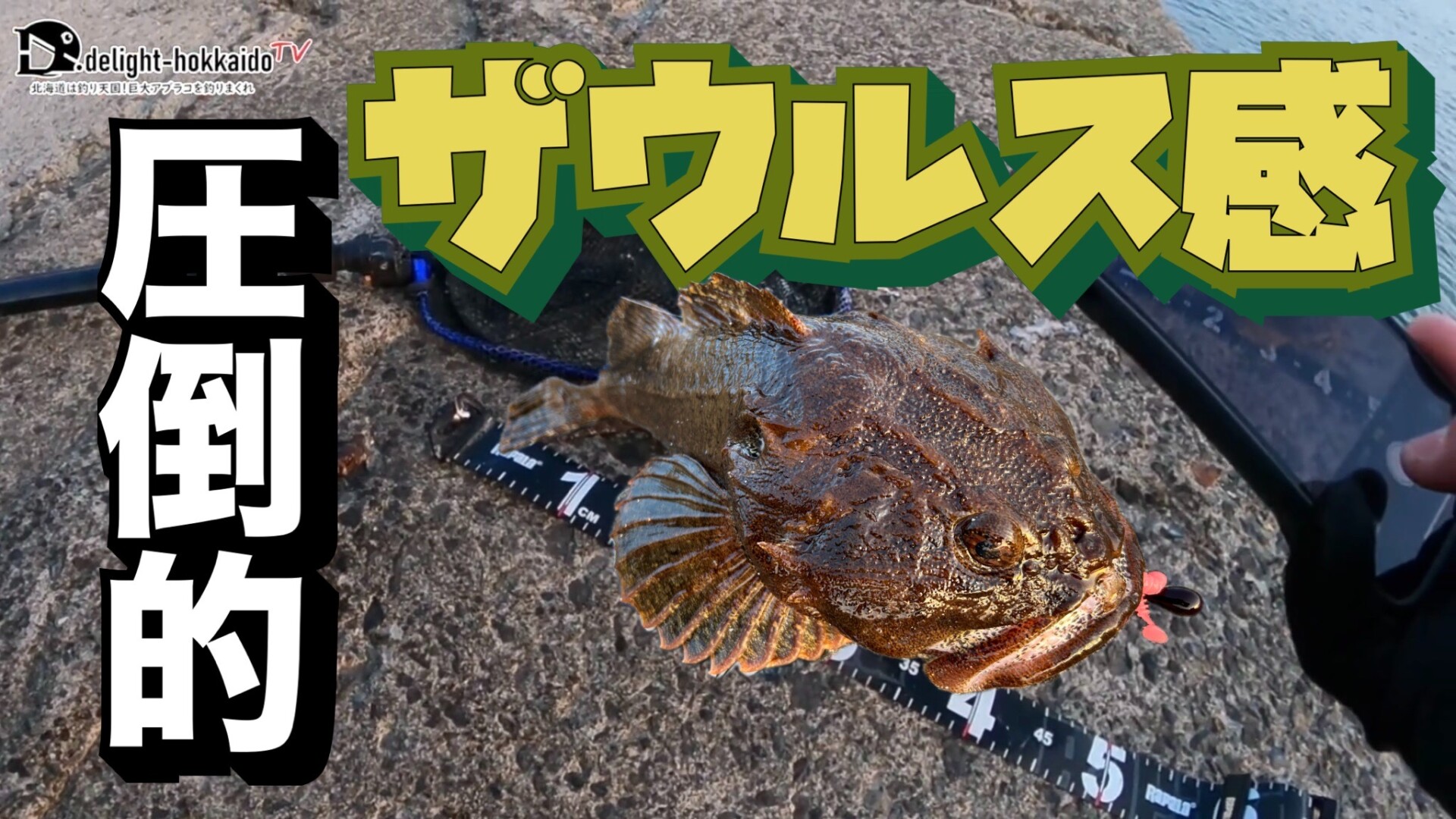 カジカ